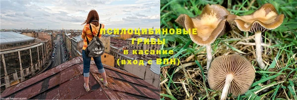 марихуана Белокуриха