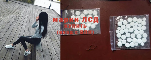 молекула духа Сясьстрой