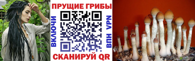 Галлюциногенные грибы MAGIC MUSHROOMS наркотики Волжск